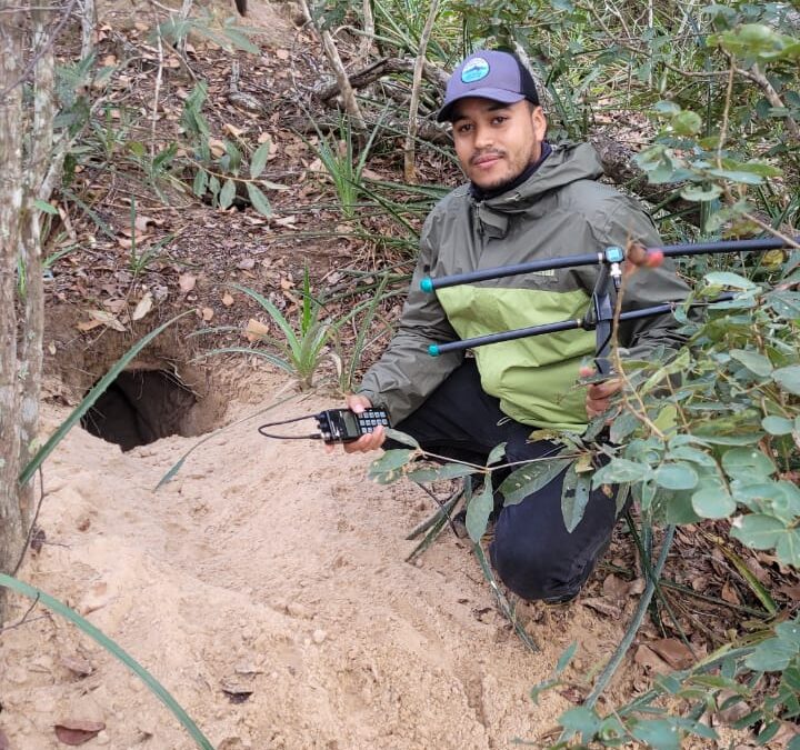 Investigador de Fundación Kurupira recibe beca en Brasil para entrenarse en el estudio de armadillos gigantes